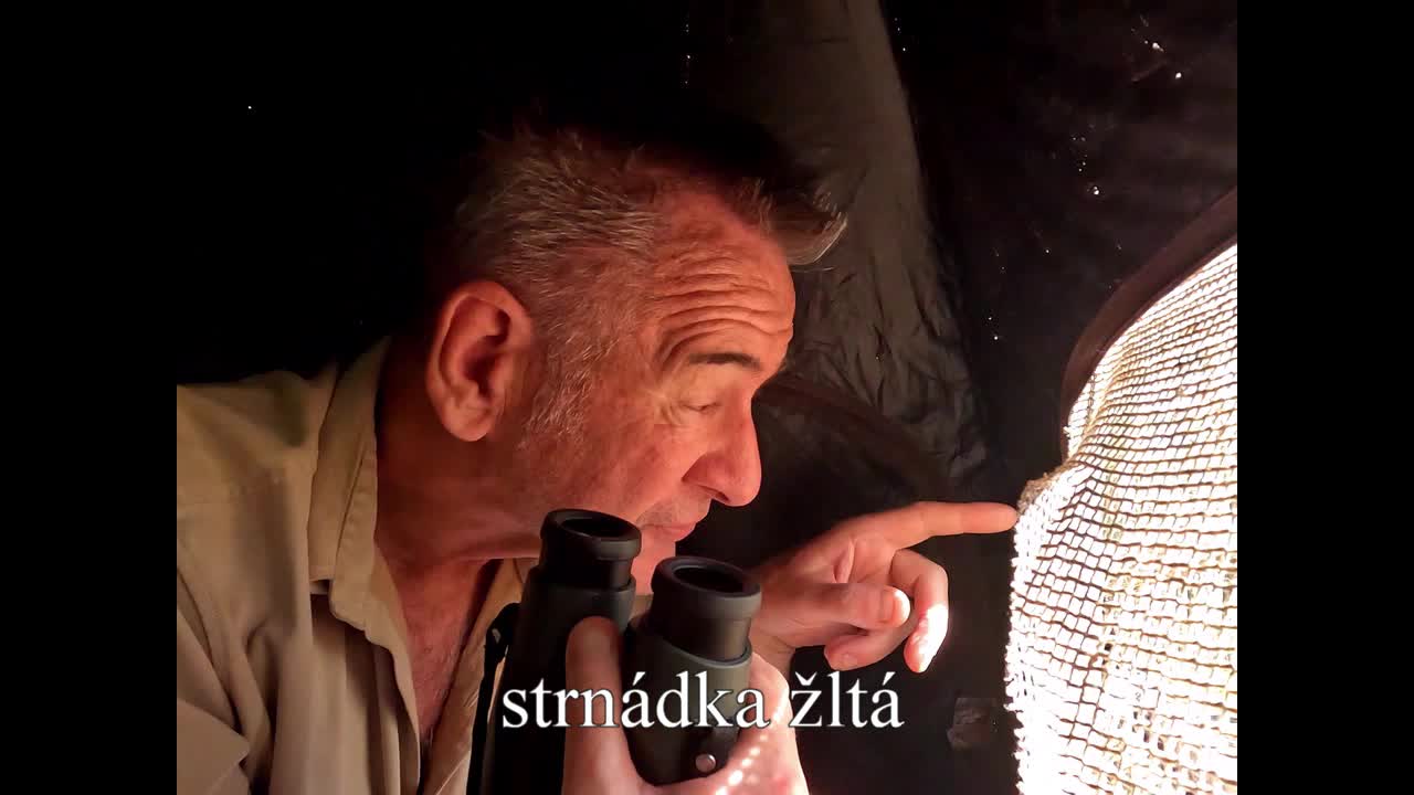Nigel Marven pri sledovaní vtákov v Malých Karpatoch. Výroba dokumentárneho filmu Divoká príroda Slovenska je v plnom prúde a my…
