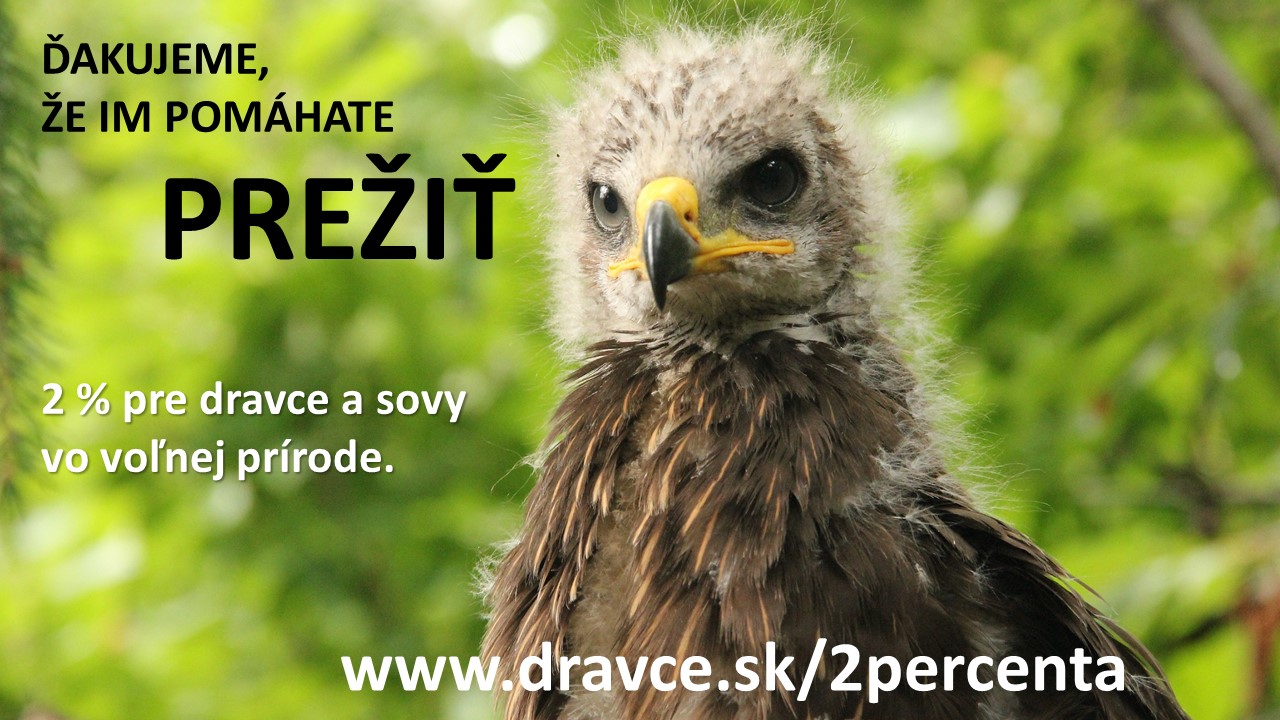 Ochrana dravcov na Slovensku’s cover photo