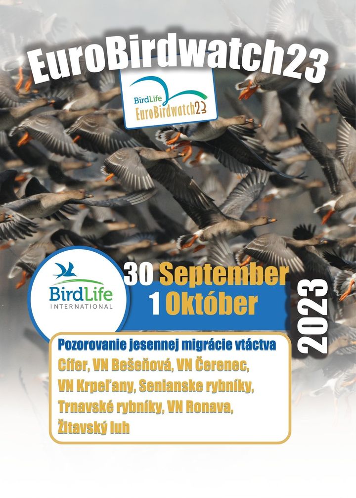 EURÓPSKE DNI VTÁCTVA 2023

Počas Európskych dní vtáctva 30.9. – 1.10. sa v celej Európe vyberú ľudia do prírody aby obdivovali j…